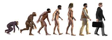 2,123 Neanderthal Man Stock Photos, Pictures & Royalty-Free Images - iStock