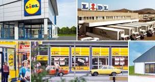 Quelle est l'origine des magasins Lidl ?