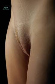 Blond pubic hair (92,996 results). Blonde Pubic Hair March 2008 Voyeur Web Hall Of Fame