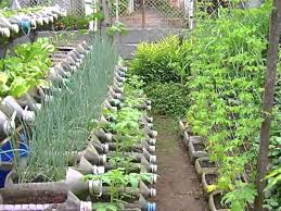 Risers In Container Gardening You