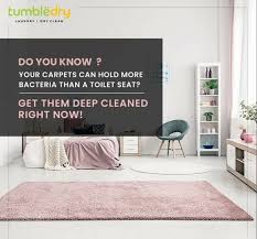 carpet dry cleaning at best in