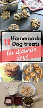You get the chance to take a more personalized approach to providing the food that your friend and pet gets to eat every day. Homemade Dog Treats For Diabetic Dogs Off 51 Www Usushimd Com
