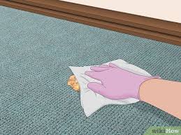 how to clean pet vomit from carpet 3