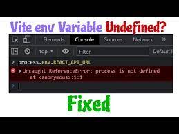 vite env variable undefined after