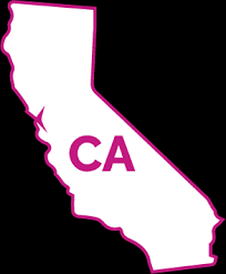 california cosmetology insurance