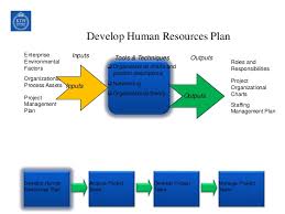 Organization Structure Stake Holder Human Resources