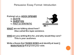 Hook for persuasive essay   Expert Custom Essay Writing Service    