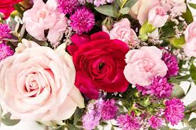 Scopri tutti i fiori a domicilio da regalare o far. Gli Auguri Migliori Regala Fiori Per Un Compleanno Tutto Colorato Blog Di Fiori E Notizie Fresche
