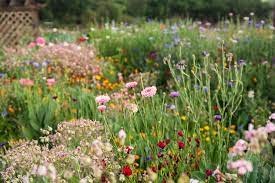guide to wildflower gardens