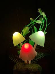 Magical Mushroom Led Night Light Color