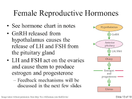 Human Reproductive System Ppt Video Online Download