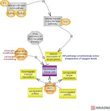 renal cell carcinoma pathway ontology
