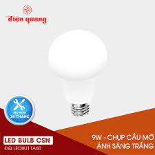 Đèn LED Bulb Điện Quang ĐQ LEDBU11A60 09765 (9W daylight, chụp cầu mờ)