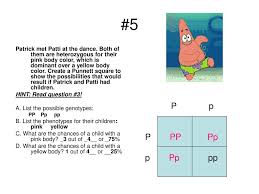 Allow students to work in pairs to help each other to complete guided practice #3. Bikini Bottom Genetics Ppt Video Online Download