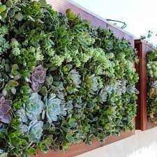 Living Walls Vertical Garden Solutions