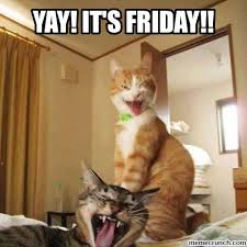 Image result for yay it's friday