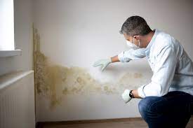 Walk Away From A House With Mold