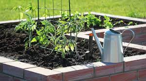 Best Soil For A Vegetable Garden