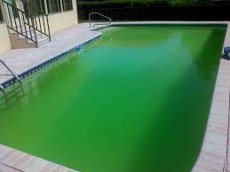 floc clarifier to clear a pool