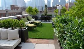 Creative Ideas For Rooftop Gardening