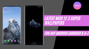 miui 12 5 super wallpapers apk