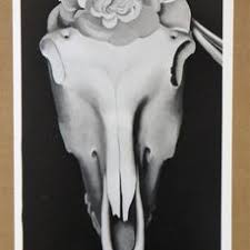 Newly custom framed in a black wood frame double matted in white/black the framed size is approx. Georgia O Keeffe Horse S Skull With White Rose Catawiki