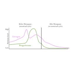 Systematic Progesterone Level Chart Early Pregnancy