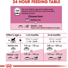 Royal Canin Mother Babycat Dry Cat Food For Newborn Kittens Pregnant Nursing Cats 7 Lb Bag