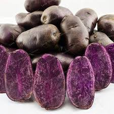 Japanese sweet potatoes are the ultimate superfood—they're healthy, nutritious, delicious and japanese sweet potatoes are purple on the outside and yellow inside. Mapplegreen 100 Pcs Purple Potato Bonsai Purple Sweet Potato Delicious Nutrition Green Vegetable Bonsai Home Garden No Gmo The Best Gift Buy Online In Barbados At Barbados Desertcart Com Productid 109803984