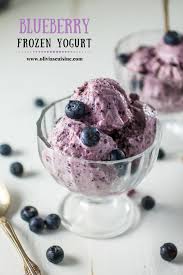 blueberry frozen yogurt olivia s cuisine