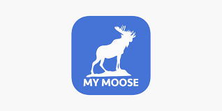 My Moose On The App