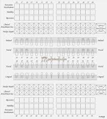 Dental Chart Forms Jasonkellyphoto Co
