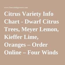 Citrus Variety Info Chart Dwarf Citrus Trees Meyer Lemon