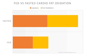 fasted cardio for faster fat loss see