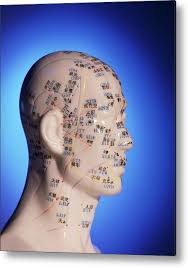 Acupuncture Chart On A Cast Of A Head And Neck Metal Print