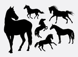 horse clipart images browse 43 985