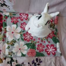 Rabbit Bedding Bunny Supplies Bed Pads
