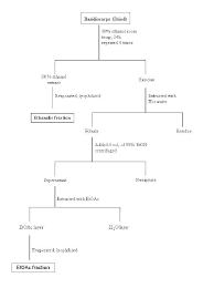 Flow Chart For The Preparation Of Ethanolic And Ethyl
