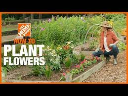 How To Plant Flowers The Home Depot