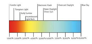 What Is Natural Lighting Full Spectrum Solutions Inc