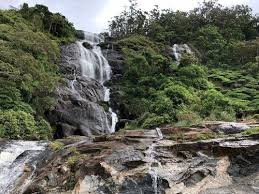 In udumbanchola today we expect +30.+25 °c, rain shower, fog, light air. Best Trails In Kerala India Alltrails