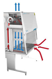 how does a biological safety cabinet work