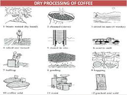 Coffee Processing Technology