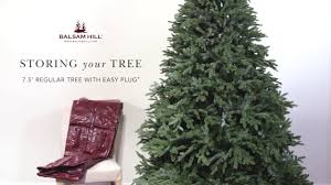 How To Store An Easy Plug Christmas Tree From Balsam Hill Youtube