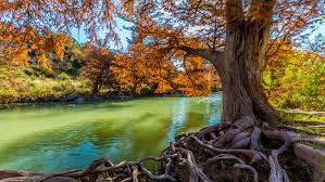 best fall foliage in texas hill country