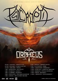 Psycroptic Tasmanian Road Dogs Out And