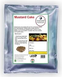 greatindos grade a organic mustard cake