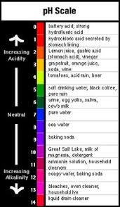 40 Best Ph Scale Images Teaching Chemistry Science
