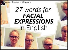 27 words for expressions in
