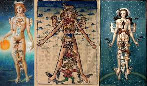 Astrology And The Body Your Guide Through The Zodiac How